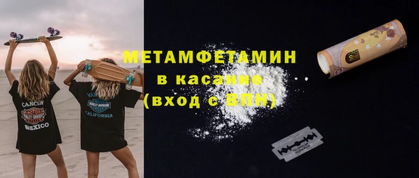 прущие грибы Аркадак