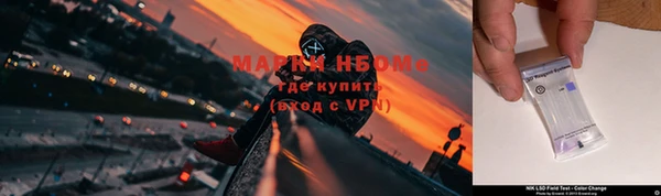 прущие грибы Аркадак