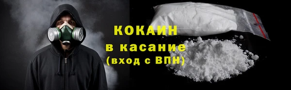 прущие грибы Аркадак