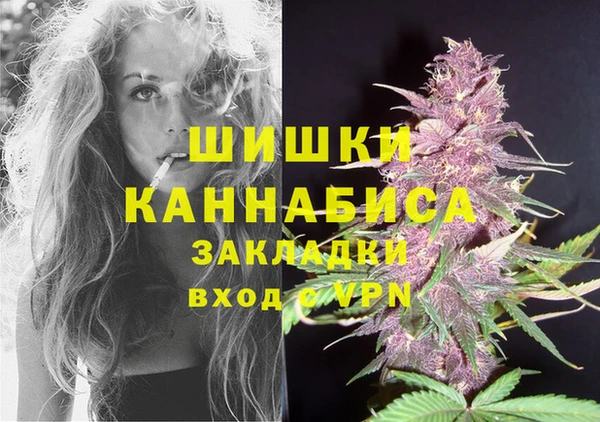 прущие грибы Аркадак