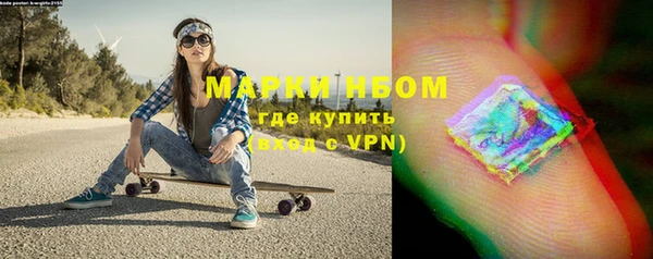 прущие грибы Аркадак