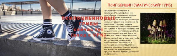 прущие грибы Аркадак