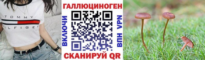 где найти наркотики  Бахчисарай  Псилоцибиновые грибы Magic Shrooms 